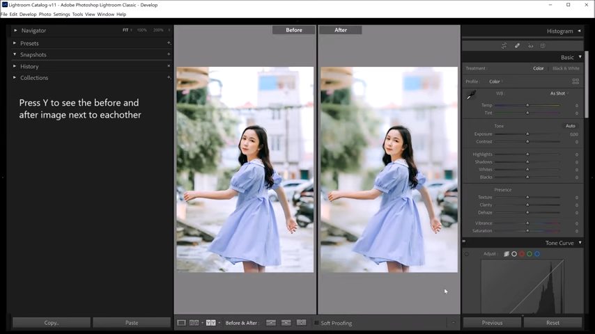 How to blur the background in Lightroom?
